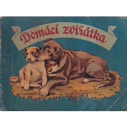 Domácí zviřátka