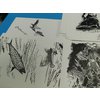 DSCN0741