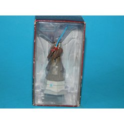 DSCN9908