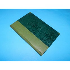 DSCN9864