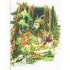 poh_0007