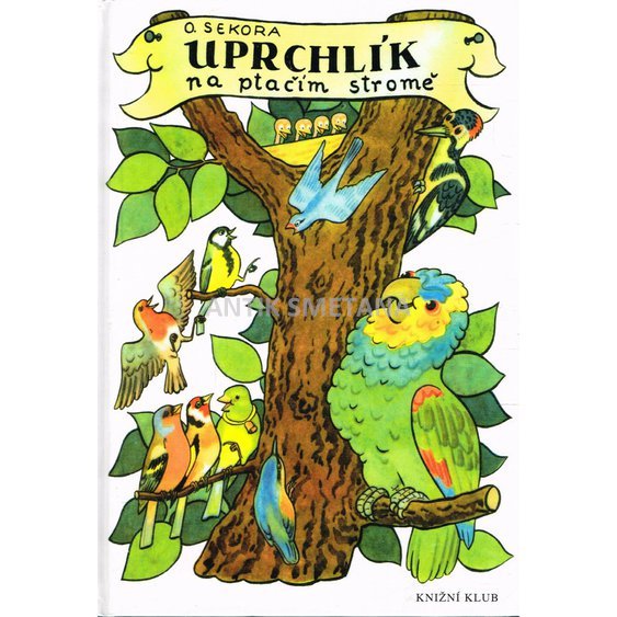 pojaky_0028