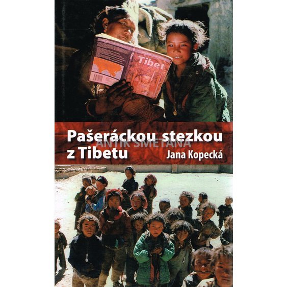 cstps_0007.jpg