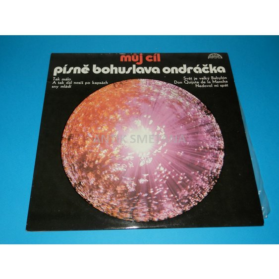 P6021891