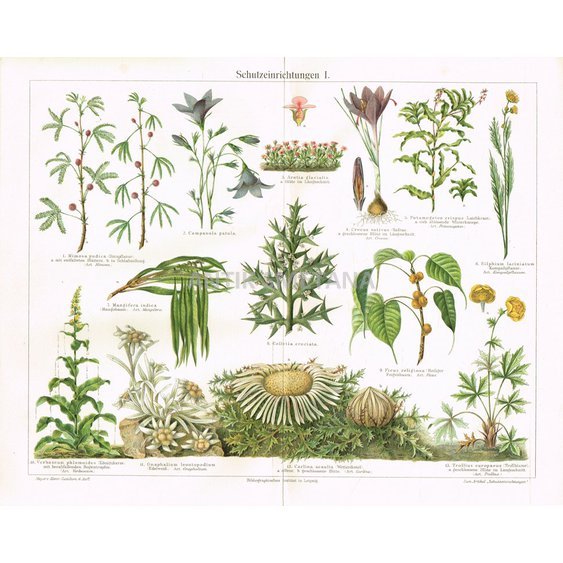 litog_0003
