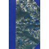 MI_0006