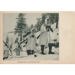Vojenská pohlednice č. 318