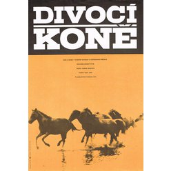 Filmový plakát A3 - Divocí koně