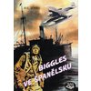 /old/b/i/biggles_0045.jpg
