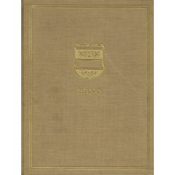 Alois V. Kožíšek - Zemské hlavní město Brno