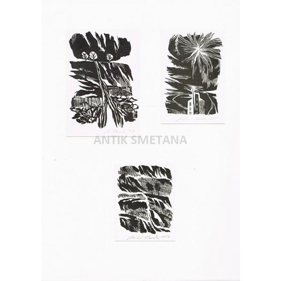 grafika_0017.jpg