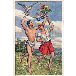 Sokolská pohlednice č.134
