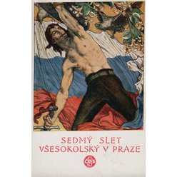 Sokolská pohlednice č.165
