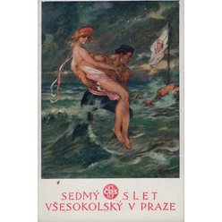 Sokolská pohlednice č.164