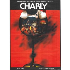 Filmový plakát A1 - Charly